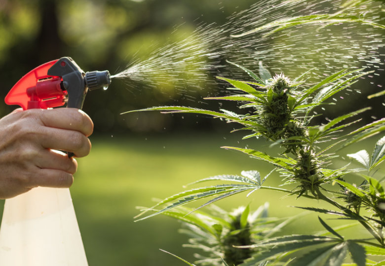 normaler dünger für cannabis Green Home BIO Cannabis Dünger All in One main image 0