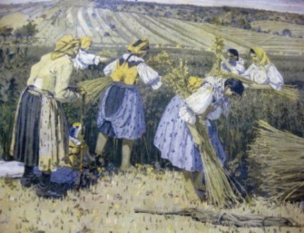 Úroda konopného poľa