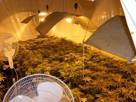 Ventilátory v pestovacej miestnosti